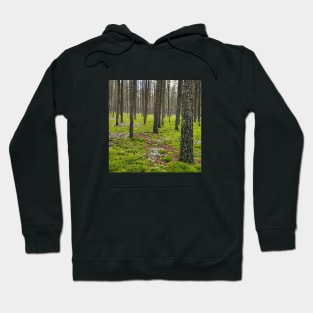 Mossy Forest Hoodie